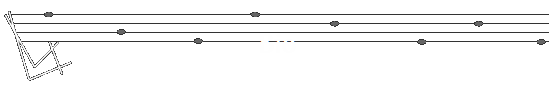 Bio